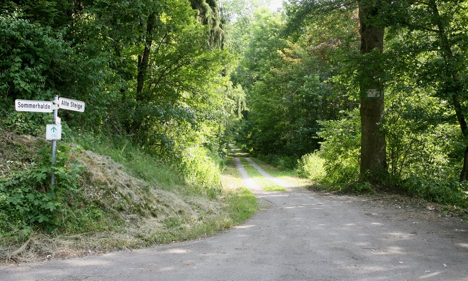 Auf diesem Bild sehen Sie einen Radweg in Eutingen.